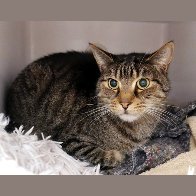 Photo of Spud Sta013717