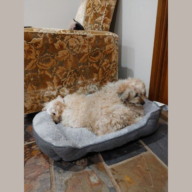 Photo of Angie And Naki Lozano