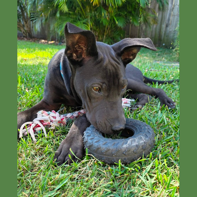 Photo of Zeke