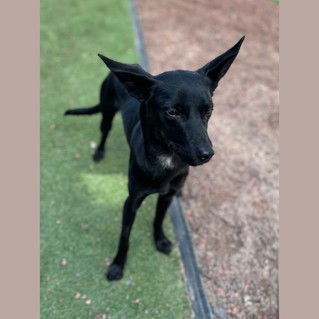 Photo of Thor