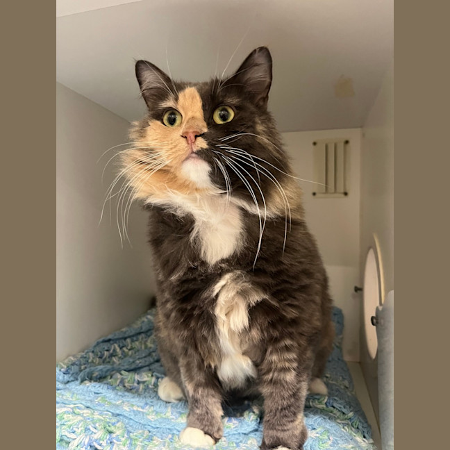 Photo of Madeline