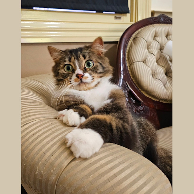 Photo of Princy