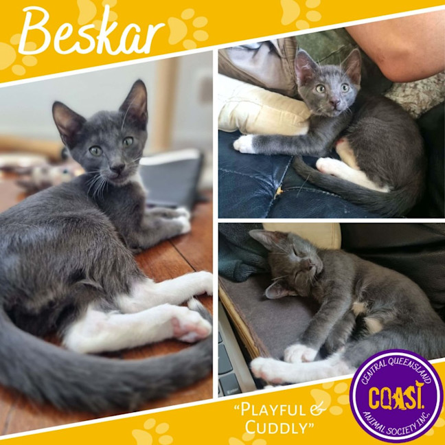 Photo of Beskar