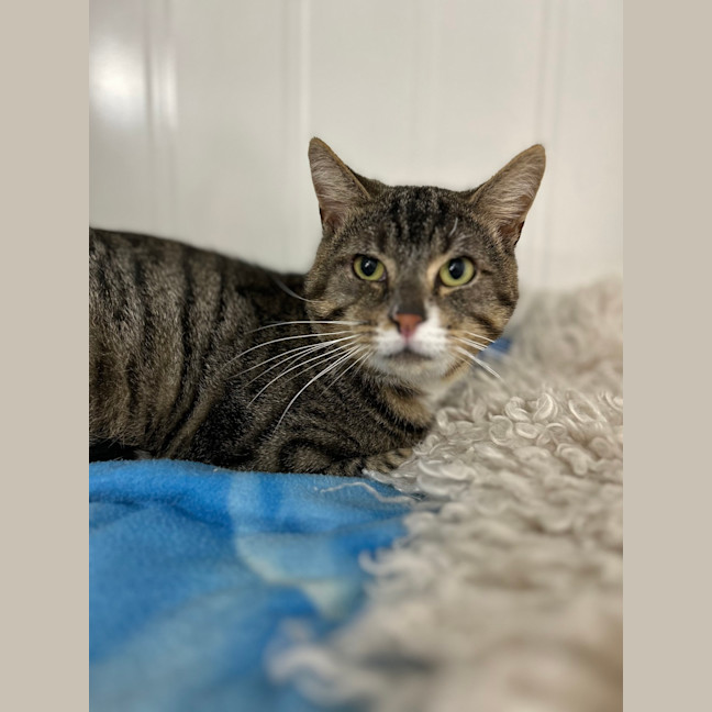 Photo of Louie