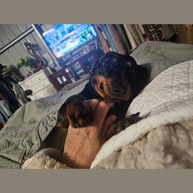 Photo of Bonni