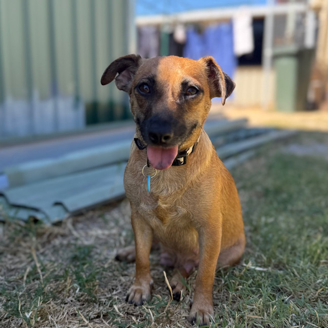 Photo of Maisey