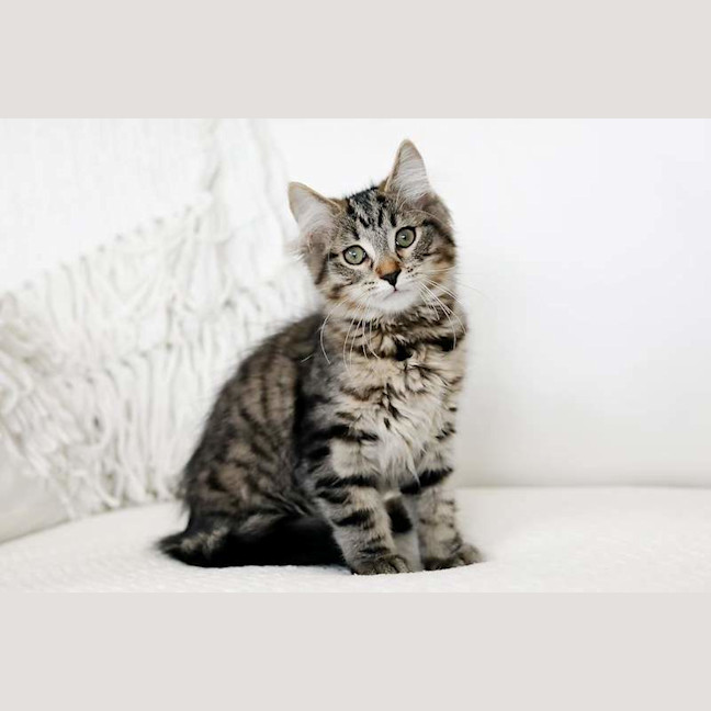 Photo of Ralph