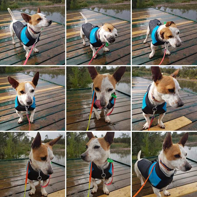 Photo of Lilly