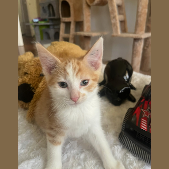 Photo of Charlie