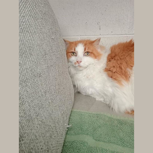 Photo of Murphy