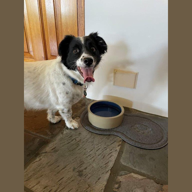 Photo of Sam Jablonski