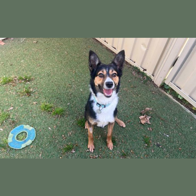 Photo of Lucy