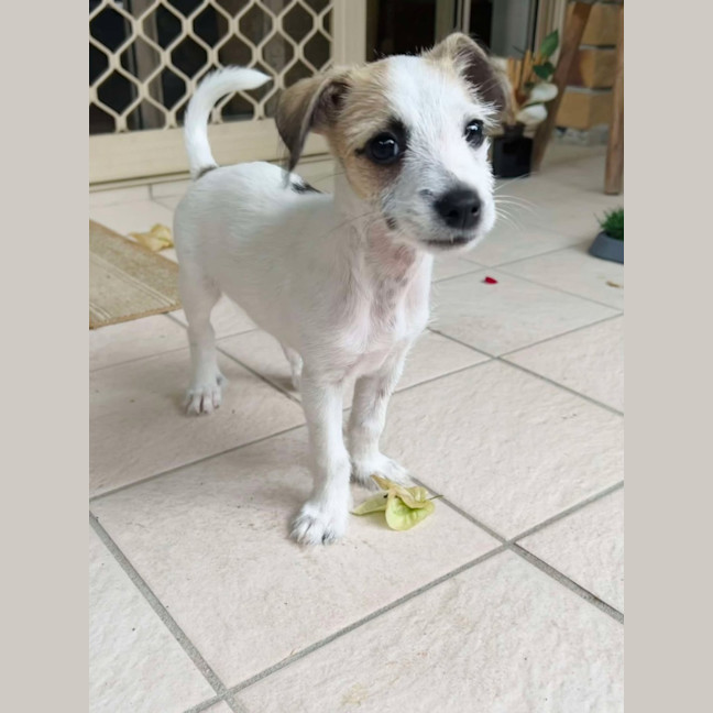 Photo of Marley Muddle