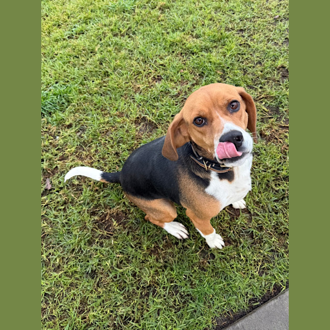 Photo of Sammi