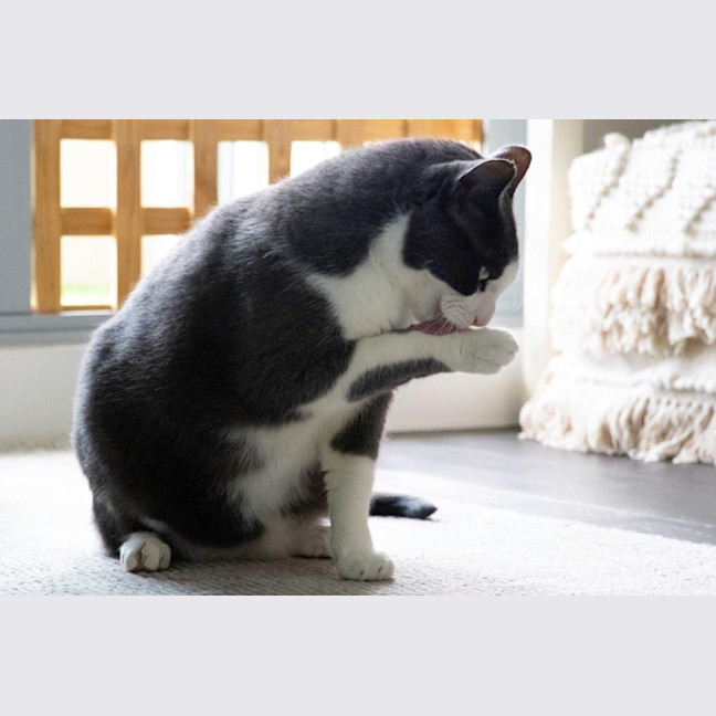 Photo of Billy Ebsworth