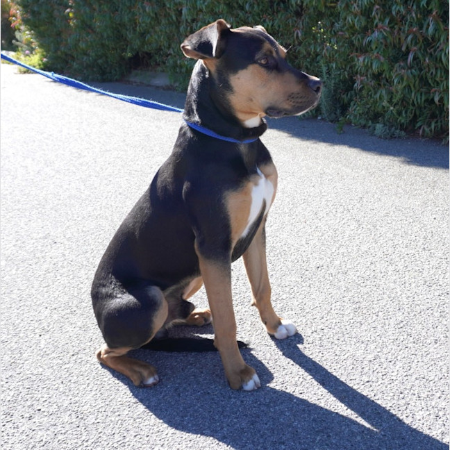 Photo of Monty