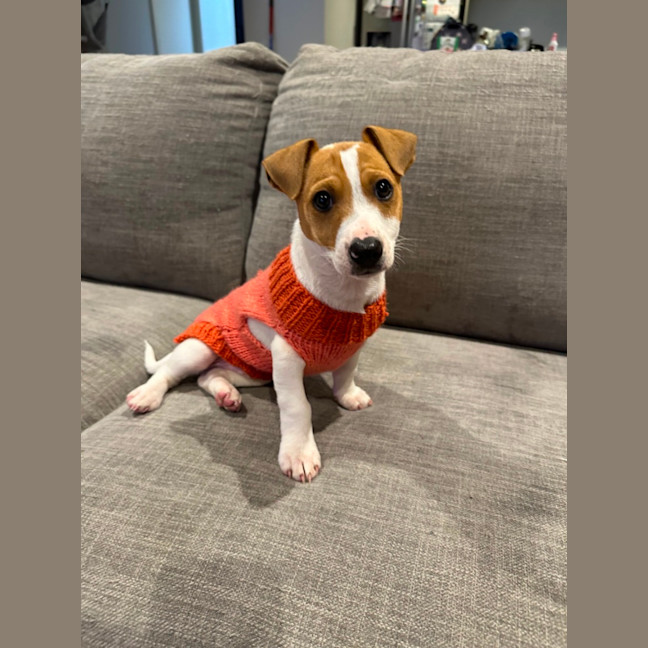 Photo of Gary 