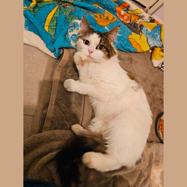 Photo of Mitzi