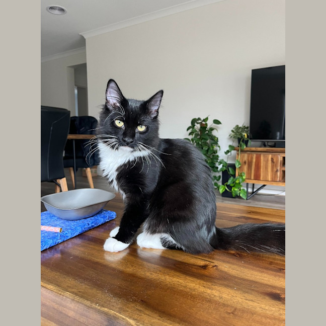 Photo of Albert