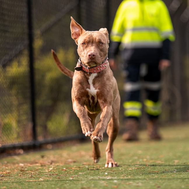 Photo of Sadie Imp 1053