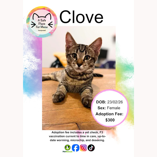 Photo of Clove