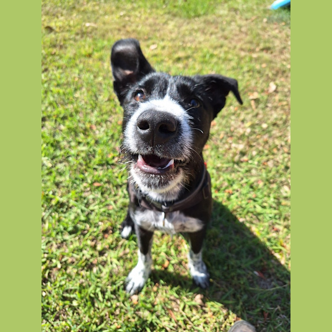 Photo of Finn