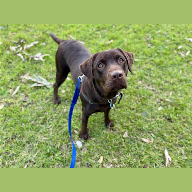 Photo of Ruby