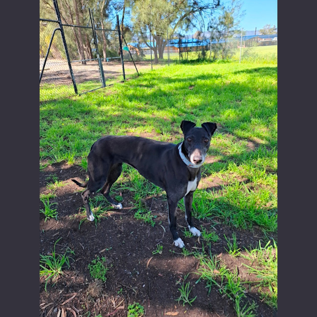 Photo of Tayla
