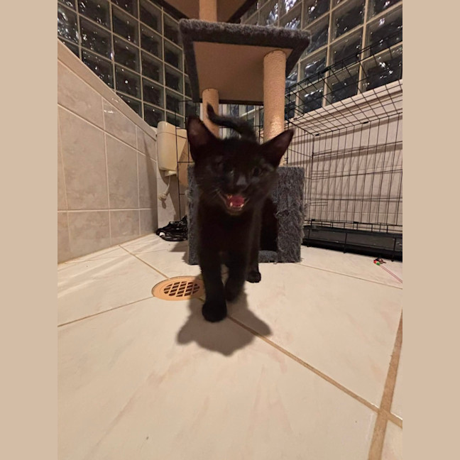 Photo of Spooky