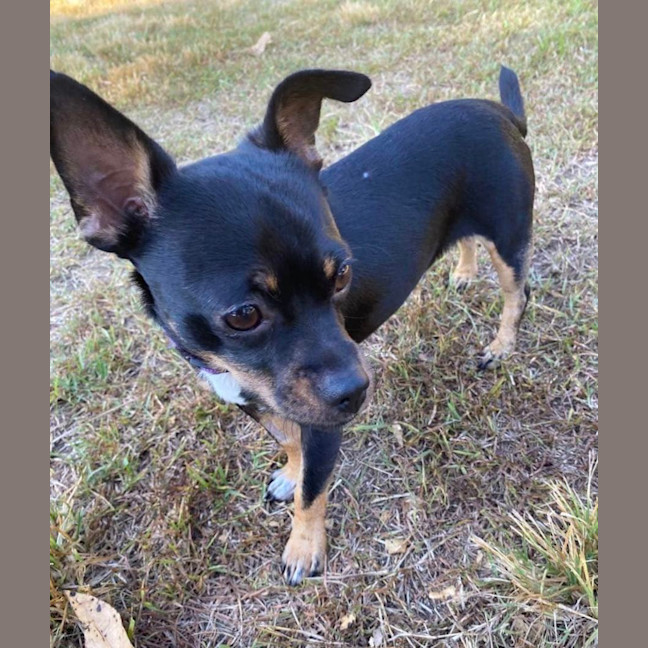 Photo of Norman & Hilda 