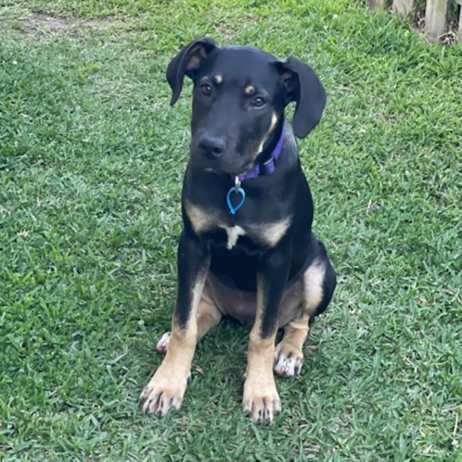 Photo of Zena