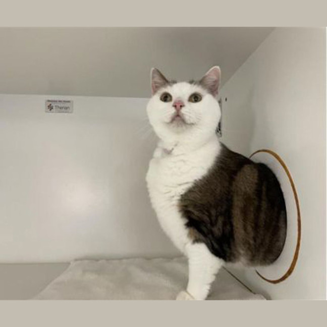 Photo of Honey