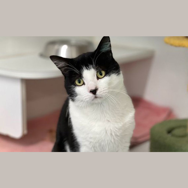 Photo of Louie