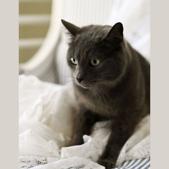 Photo of Hugo