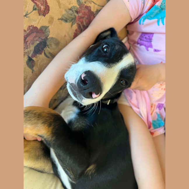 Photo of Tracker