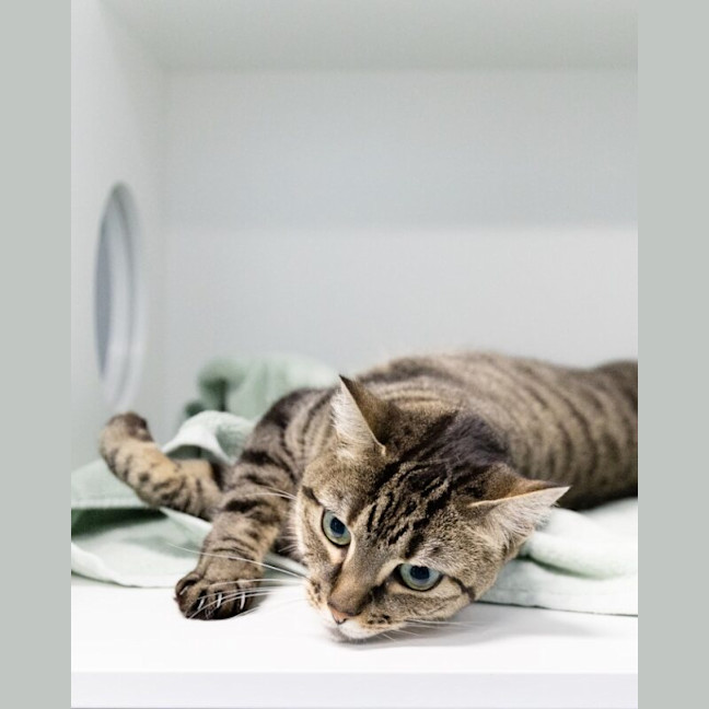 Photo of Mia