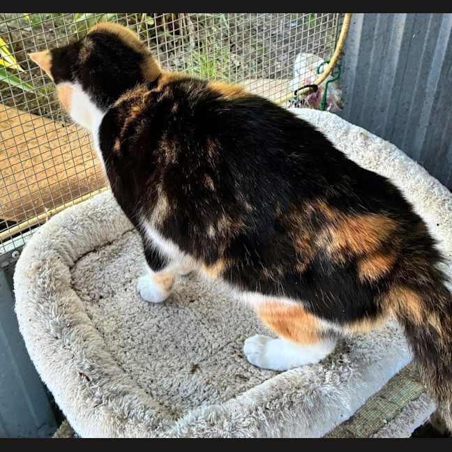 Photo of Betty Lou