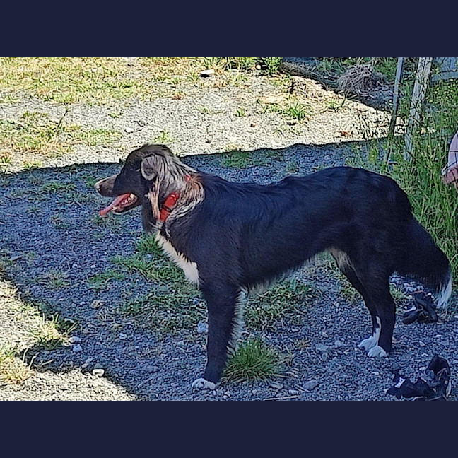 Photo of Finn Quinell