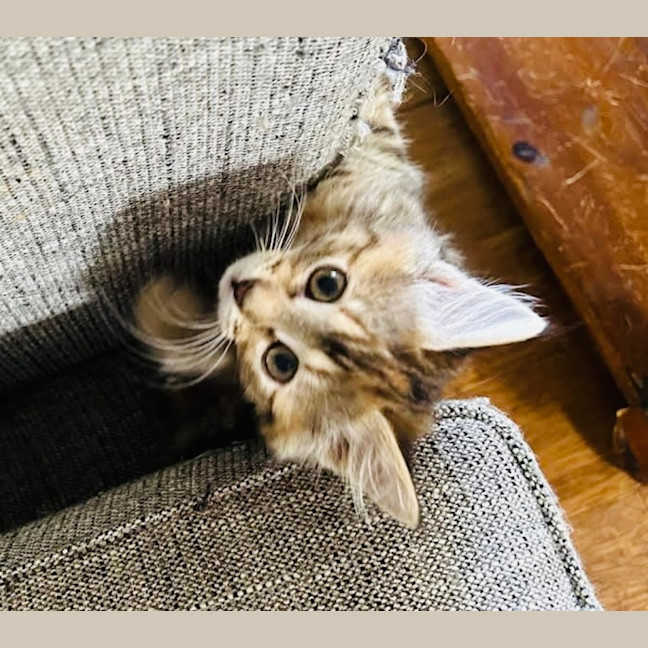 Photo of Cinnamon & Nutmeg