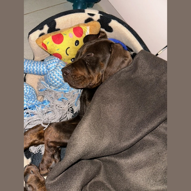 Photo of Tex (Was Maurice)