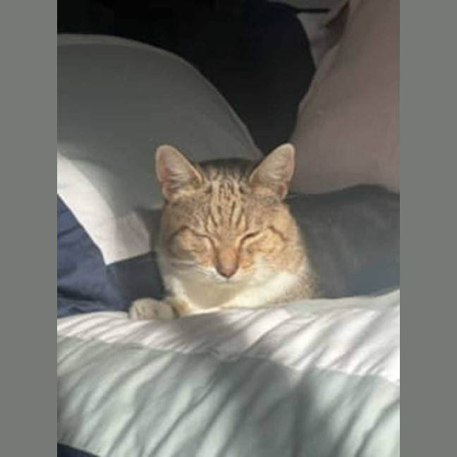 Photo of Herbie