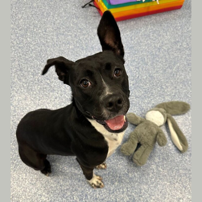 Photo of Boots