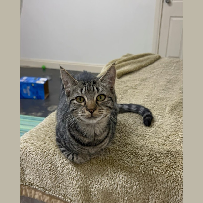 Photo of Blueberry