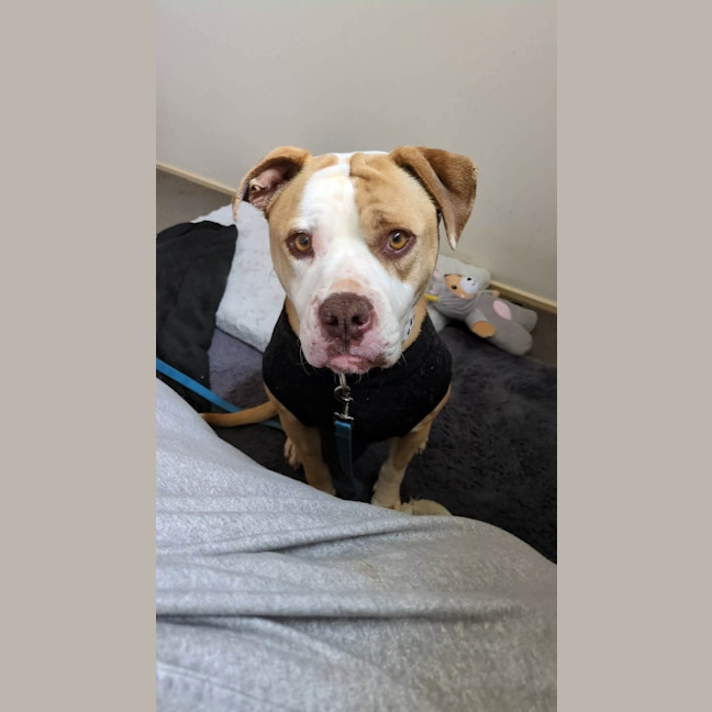 Photo of Maeve