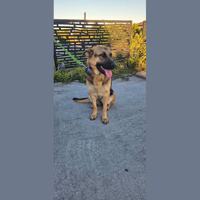 Photo of Shilo