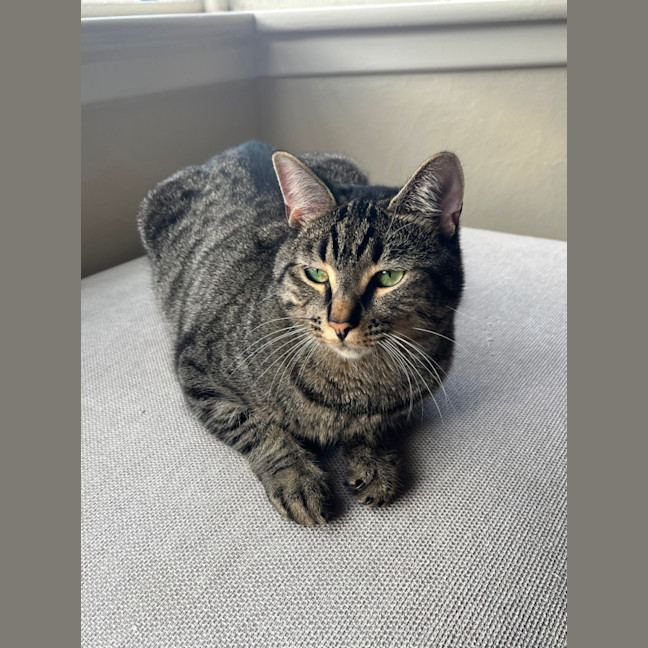 Photo of Lala