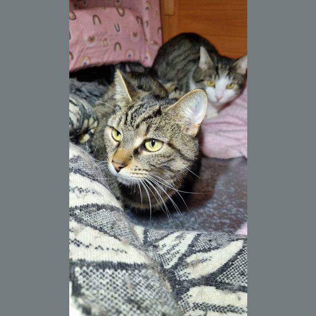 Photo of Spencer & Penny