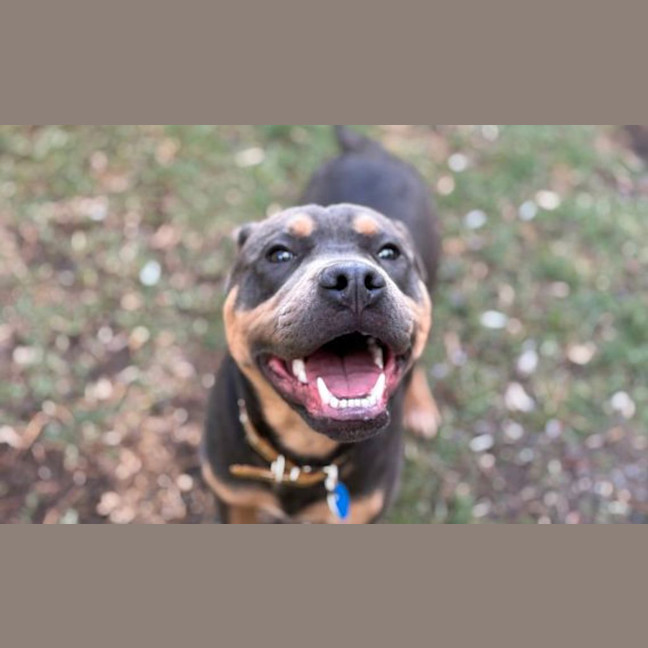 Photo of Colby