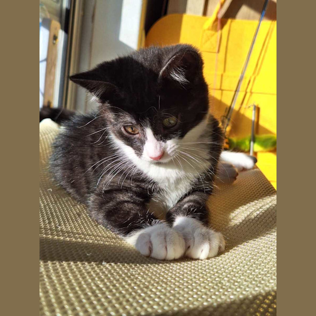 Photo of Bobbi