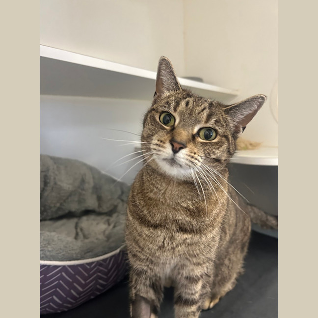 Photo of Marmite